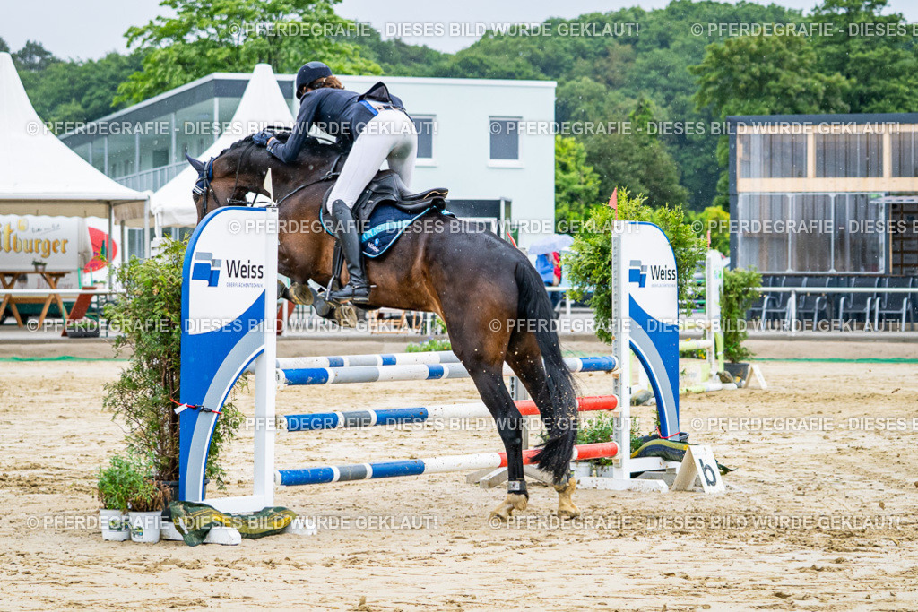 DSC02509 | Pferdegrafie