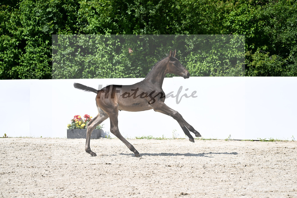 Fuerst Toto x Rubin-Royal_HF_Juerges_13251528 | hf-fotografie - Realizzato con Pictrs.com