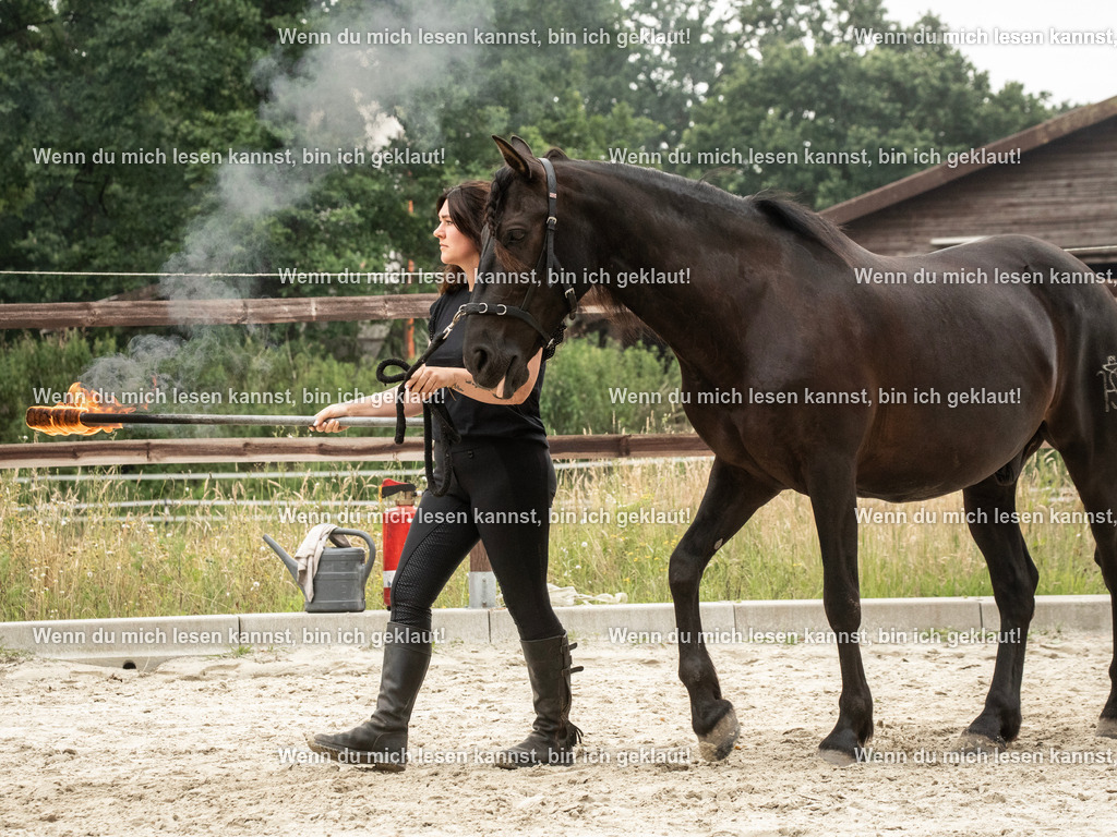 598A7234 | photographylinaismer - Realisiert mit Pictrs.com