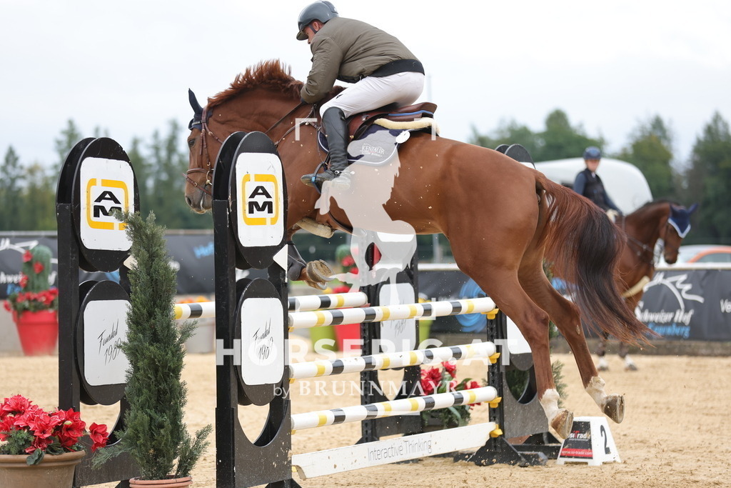 0P6A8172 | Willkommen bei Brunnmayr - Design & Fotografie – Ihrem Spezialisten für Reitturniere und Pferdeveranstaltungen in Oberösterreich, Salzburg und Bayern! Seit über 17 Jahren sind wir leidenschaftlich dabei.