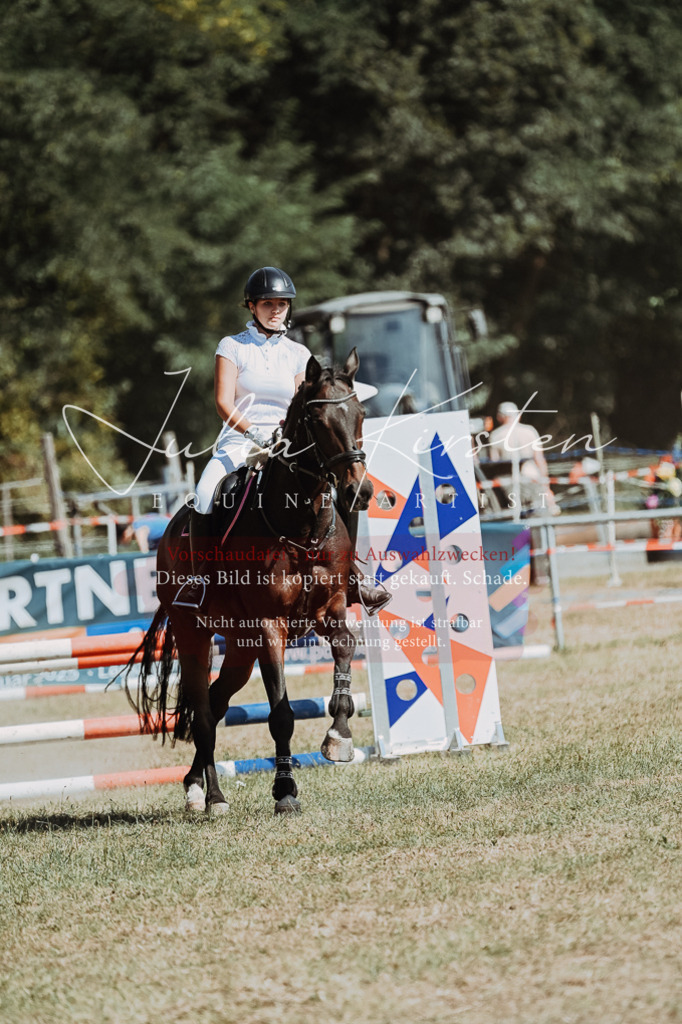DSC_9542 | Pferde- und Turnierfotografie in Westsachsen. Pferdeportraits, Auftragszeichnungen und intuitive Kunst.