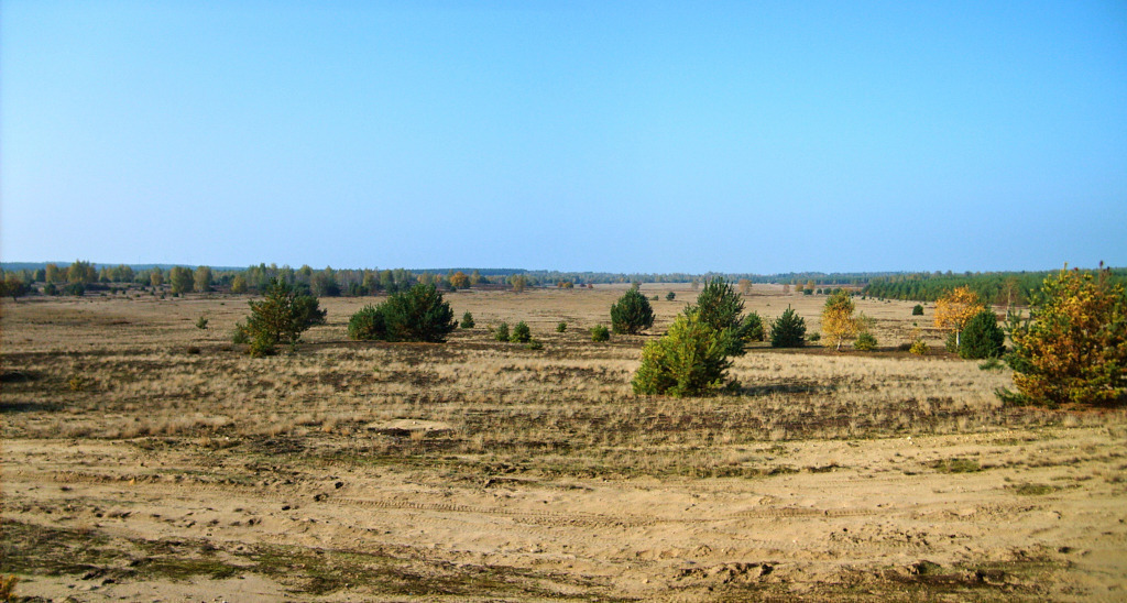 WIKIMEDIA-FOTO NSG_Forsthaus_Prösa_11 | Panorama - Realisiert mit Pictrs.com