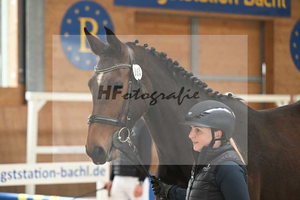 Kat-Nr. 65 Gesina de Muze v. Pommerol de Muze_Hoffmeister_14260197 | hf-fotografie - Realizzato con Pictrs.com