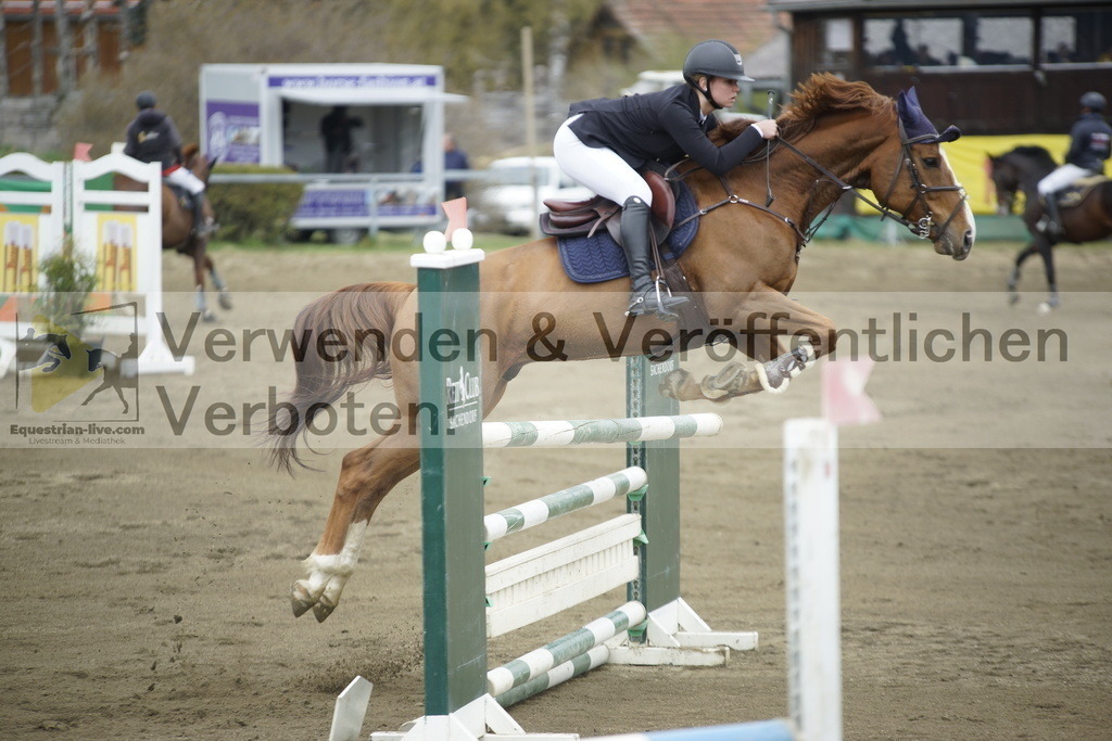 _DSC7309 | equestrian-live-com