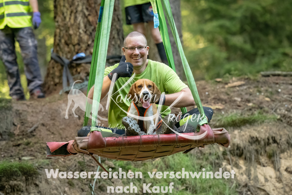 1440_ZZ90576-Bearbeitet-2 | kk-dogfotos