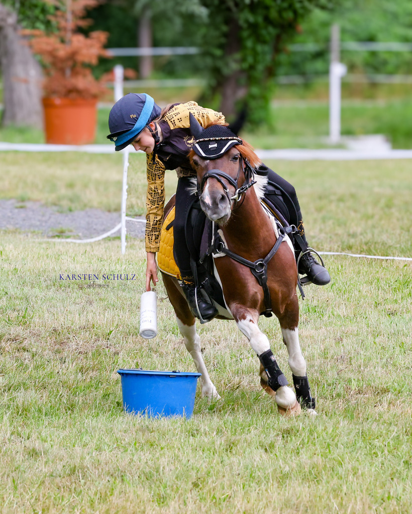 1B3A0376 | Reitsport Reiten