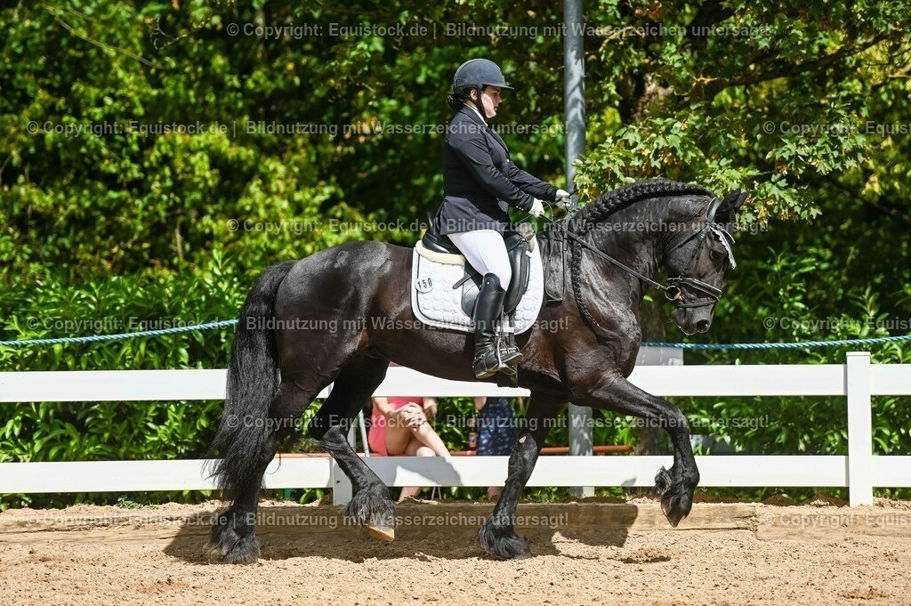 20230715_02_Dressurreiterprüfung Kl.L_0185 | equistock