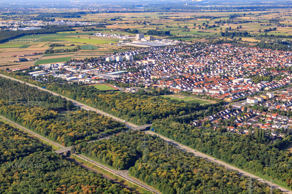 Luftbild: Stadtansicht von Nordosten in Ketsch im Bundesland Baden-Württemberg in Deutschland. Foto: IMG_52217.jpg vom 19.08.2012 durch Werner Riehm/FLY-FOTO.de