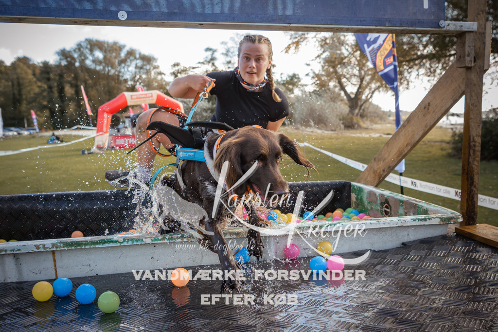 1303_ZZ99049-2 | kk-dogfotos