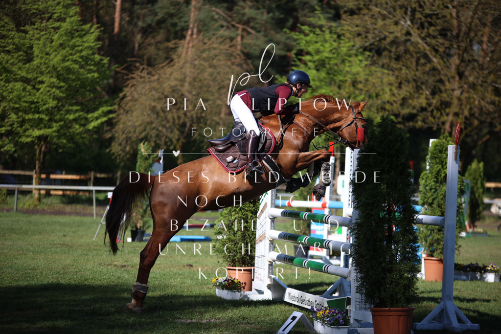 IMGT0233 | pl-fotografie