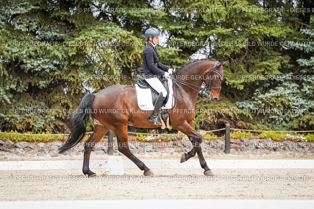 DSC04891 | Pferdegrafie