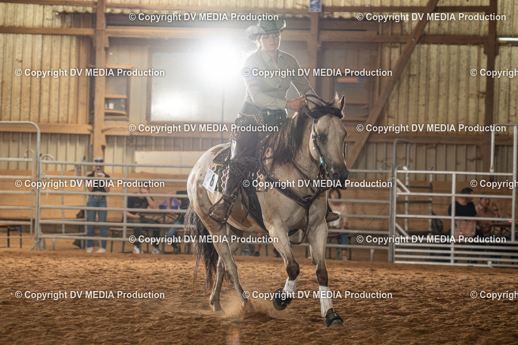 NID01661 | dv-media-shop - Realisiert mit Pictrs.com