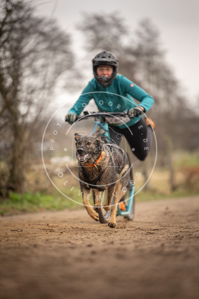 Pfotenfotografie_DV3A4174 | Hundefotografie, Tierfotograf, Pfotenfotografie, Fotoshooting Hund, Hunde Portrait, Hundesport, Hundeportraits, Heideshooting, Hunde, Sportfotograf, Hundefotograf, Turnierhundsport, THS,  - Realisiert mit Pictrs.com