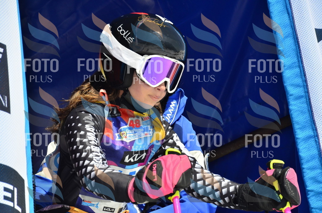 _ELE1008 | holidayphoto