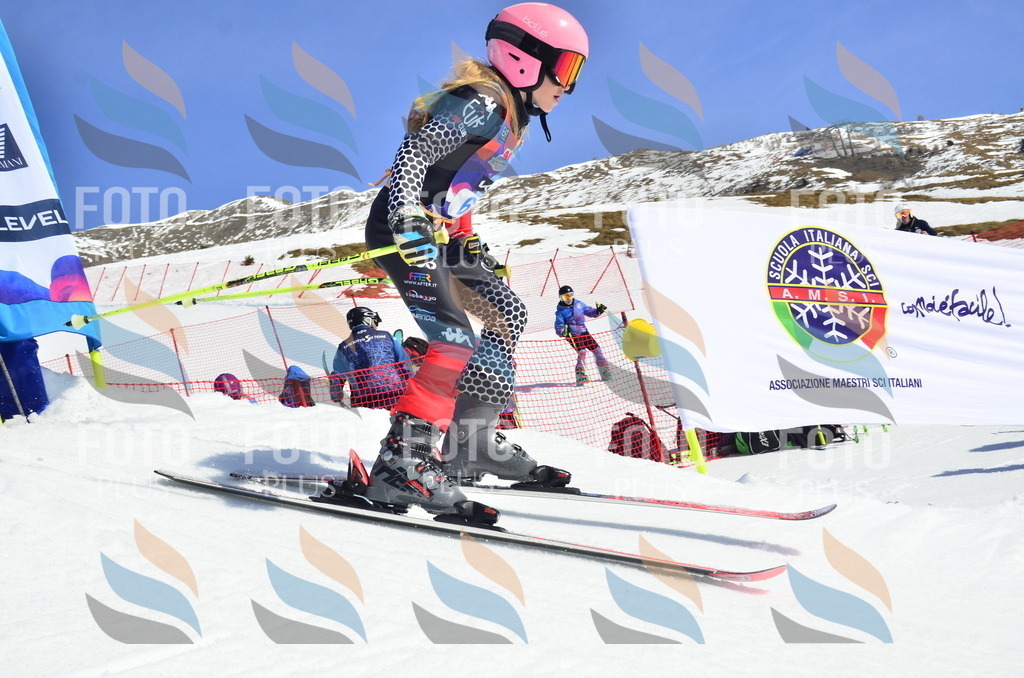 _ELE0238 | holidayphoto