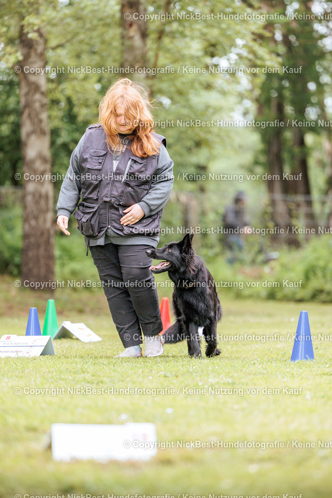 RO-Blumenthal-2026-Nickbest-Hundefotografie-3319 | Dein Hund! Dein Moment! Deine Erinnerungen! Hundefotografie in Bremen Blumenthal. Ich fange die besonderen Momente deines Vierbeiners ein – ob Indoor mit Blitzanlage oder in der freien Natur. Sicher dir dein Moment und dein Termin für eure Erinnerungen.