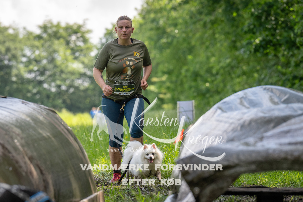 1151_ZZ94860 | kk-dogfotos