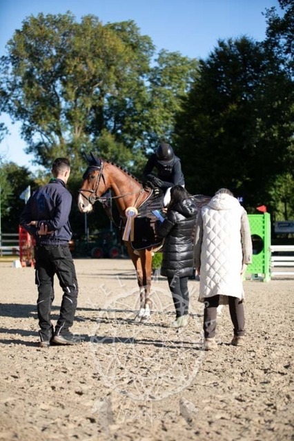 2B4A0103 | pixelfaenger - Realisiert mit Pictrs.com