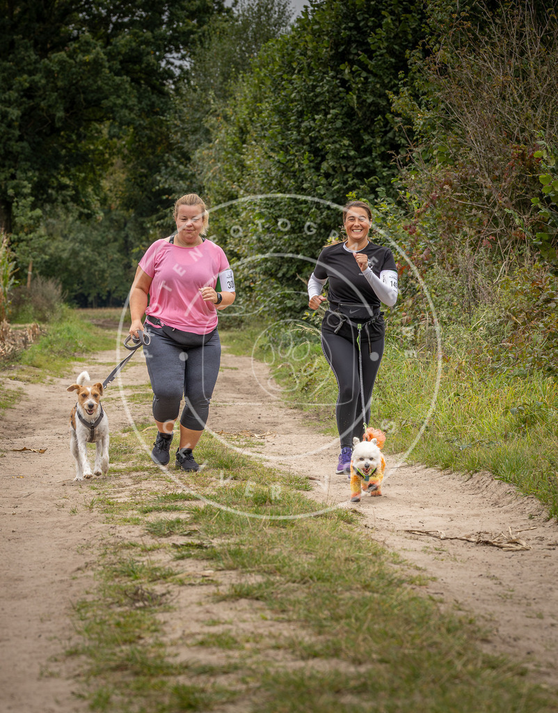 Pfotenfotografie_DV3A7077 | Hundefotografie, Tierfotograf, Pfotenfotografie, Fotoshooting Hund, Hunde Portrait, Hundesport, Hundeportraits, Heideshooting, Hunde, Sportfotograf, Hundefotograf, Turnierhundsport, THS,  - Realisiert mit Pictrs.com