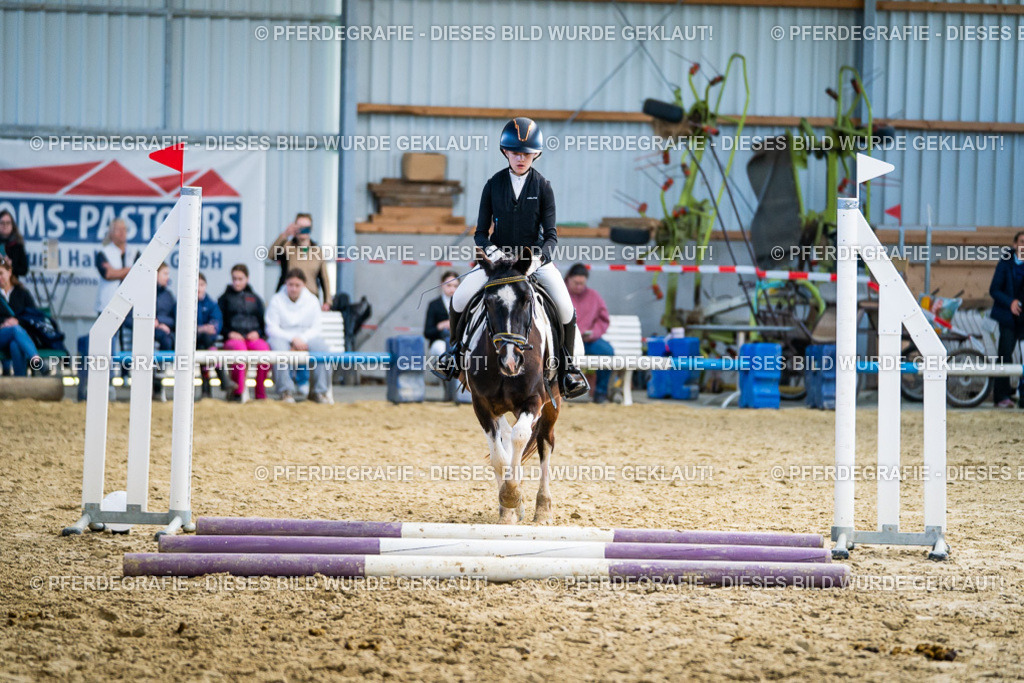 DSC01944 | Pferdegrafie