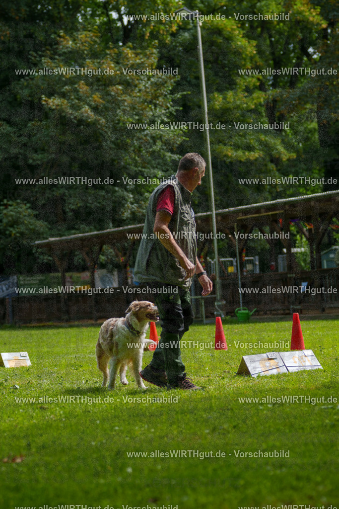 @allesWIRTHgut_Tierfotografie - www.allesWIRTHgut.de - 100210-7R507983 | Professionelle Tierfotografie in Mönchengladbach von Daniel Wirth (allesWIRTHgut). Liebevolle & natürliche Bilder von Hunden & Katzen für unvergessliche Erinnerungen.
