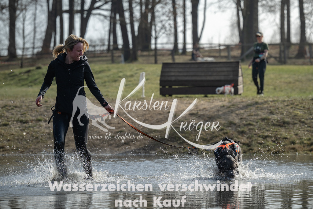 1147_ZZ96477-3 | kk-dogfotos