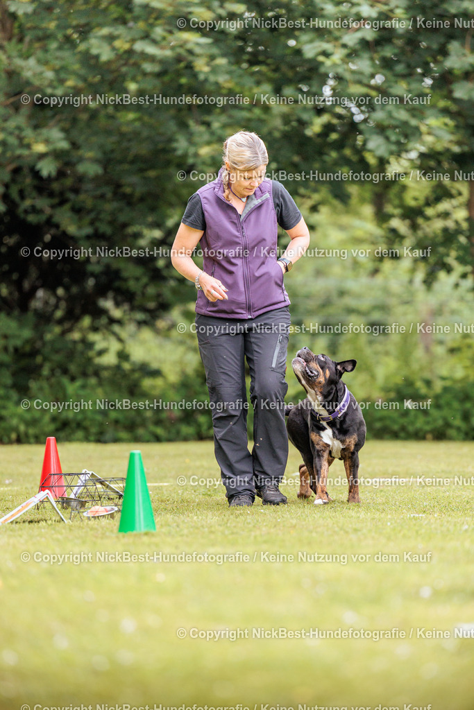 RO-Blumenthal-2026-Nickbest-Hundefotografie-1699 | Dein Hund! Dein Moment! Deine Erinnerungen! Hundefotografie in Bremen Blumenthal. Ich fange die besonderen Momente deines Vierbeiners ein – ob Indoor mit Blitzanlage oder in der freien Natur. Sicher dir dein Moment und dein Termin für eure Erinnerungen.