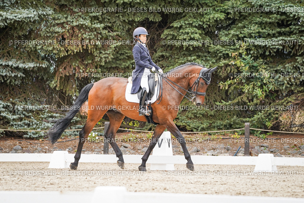 DSC05348 | Pferdegrafie