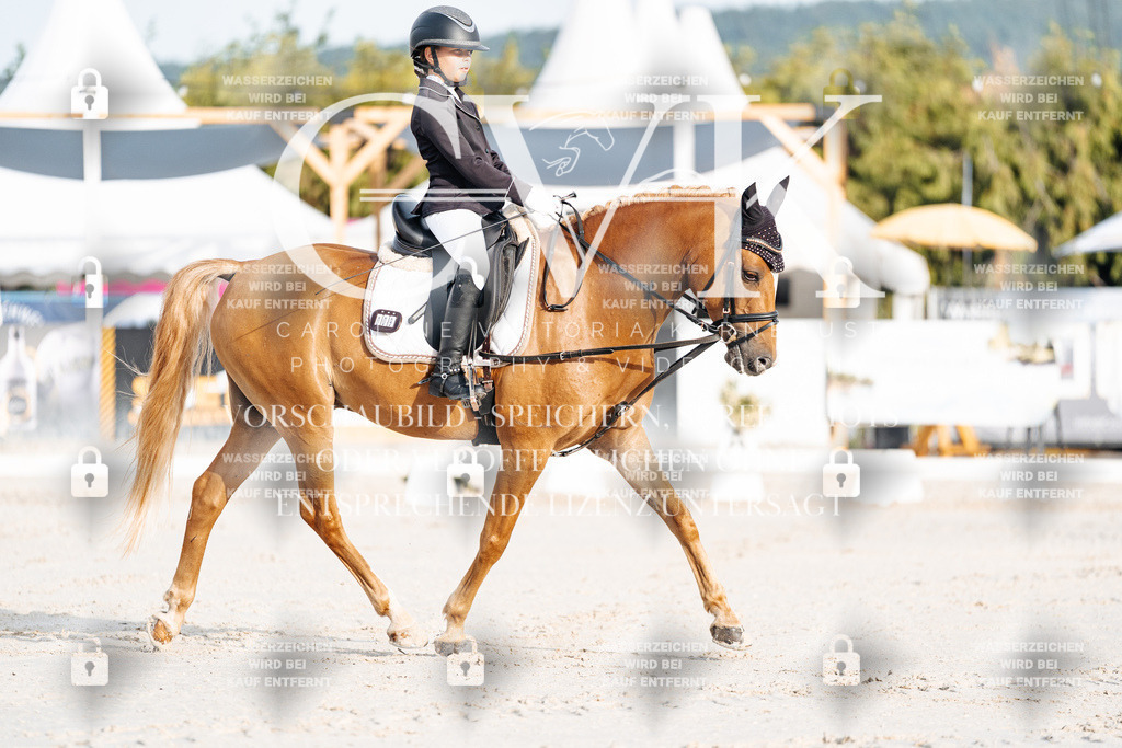 CK903648 | Turnierfotografie Pferdefotografie Trier Rheinland-Pfalz Pferdesport Reitsport Tierfotografie Sportfotografie Pferdevideo Pferdevideografie Equestrianvideography equestrianphotography  - Realisiert mit Pictrs.com