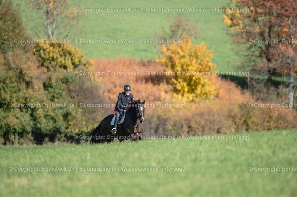 20251011_Jagd-Marbach_0331 | Foto: Thomas Hartig