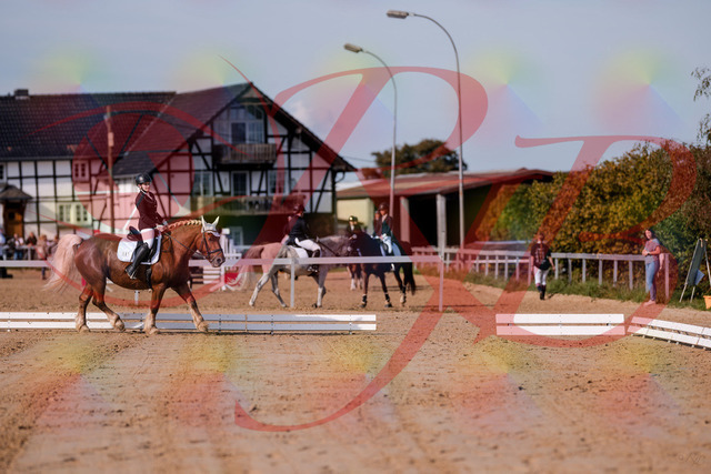 2026_10_03_Siefer-Hof_114126_Z81_84460588 | Professionelle Reitsport-, Turnier- und Eventfotografie von Robert Broda. Galerien mit ausgewählten und bearbeiteten Bildern direkt online ansehen und bestellen.
