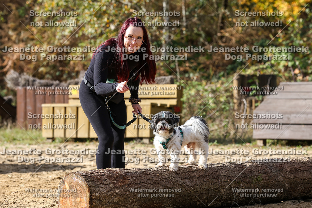 Dog Paparazzi - Strongdog 10-25-5677 | Dog Paparazzi Jeanette Grottendiek Fotografie & Videografie - Realisiert mit Pictrs.com