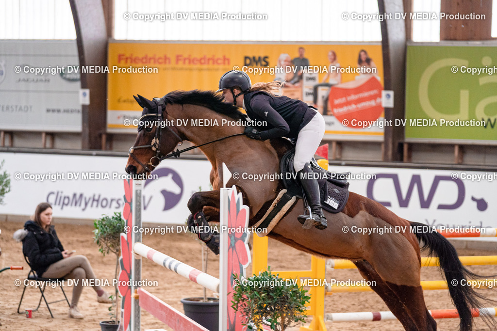 Kranichstein Tag 3-777 | dv-media-shop - Realisiert mit Pictrs.com