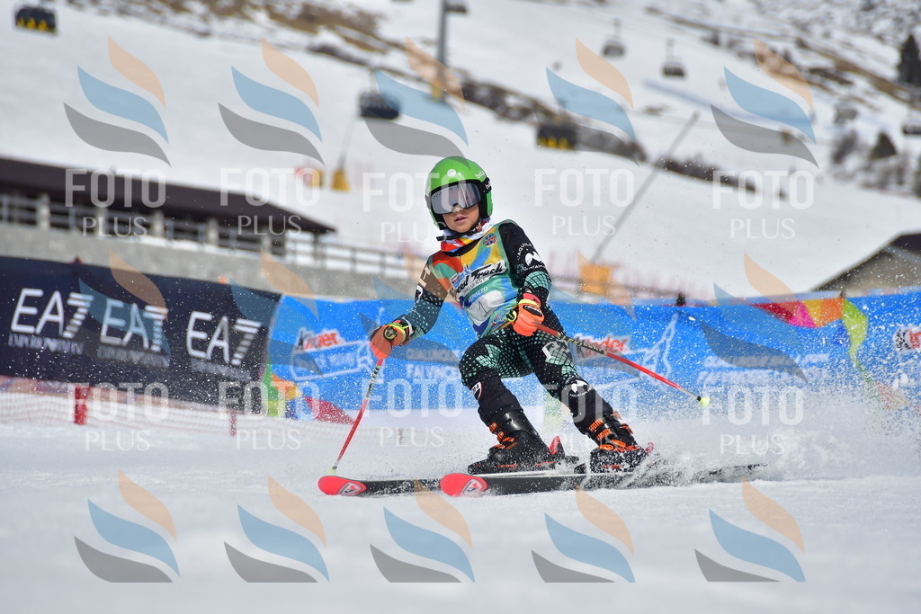 _DSC6695 | holidayphoto