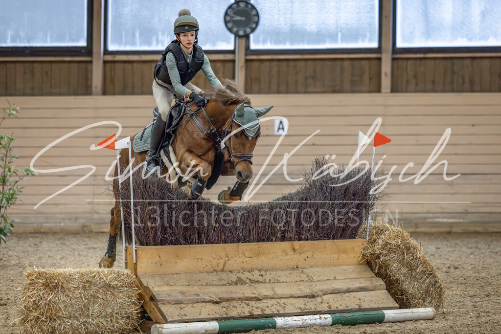 20260222-_3LI1019 | Tierfotografie Pferde, Hunde, Katzen, Haustiere.
Turnierfotografie Reitturniere, Reiten, Springreiten, Dressur in Hanau, dem Main-Kinzig-Kreis und dem Rhein-Main- Gebiet um Frankfurt