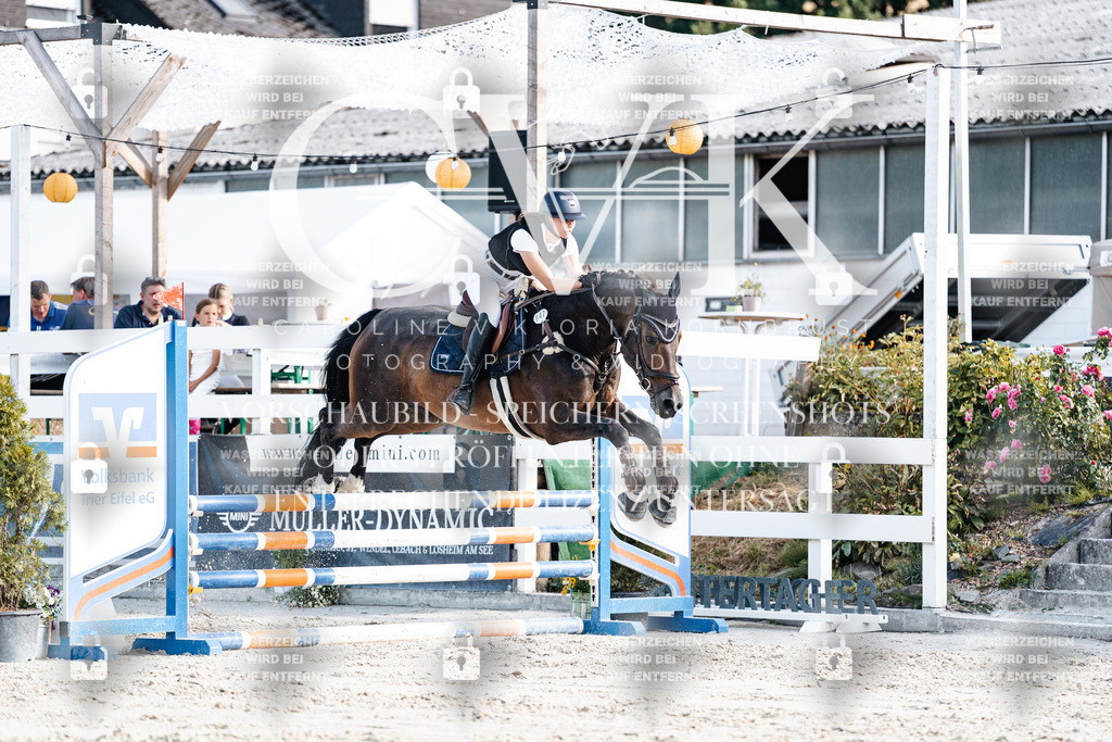 CK909407 | Turnierfotografie Pferdefotografie Trier Rheinland-Pfalz Pferdesport Reitsport Tierfotografie Sportfotografie Pferdevideo Pferdevideografie Equestrianvideography equestrianphotography  - Realisiert mit Pictrs.com