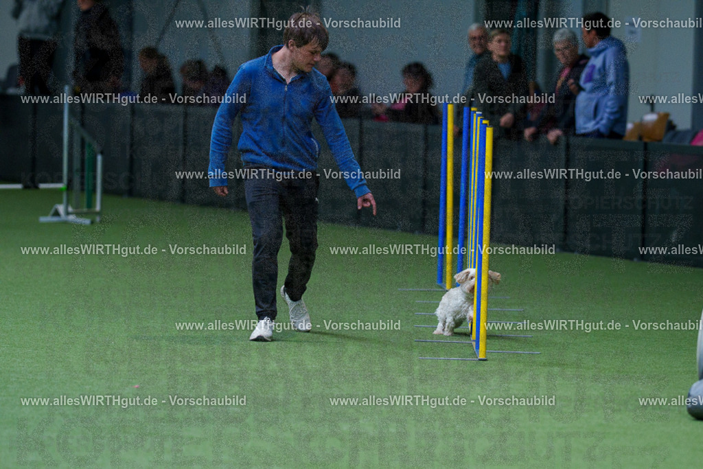 @allesWIRTHgut_Tierfotografie - www.allesWIRTHgut.de - 2604251123-7R500367 | Professionelle Tierfotografie in Mönchengladbach von Daniel Wirth (allesWIRTHgut). Liebevolle & natürliche Bilder von Hunden & Katzen für unvergessliche Erinnerungen.