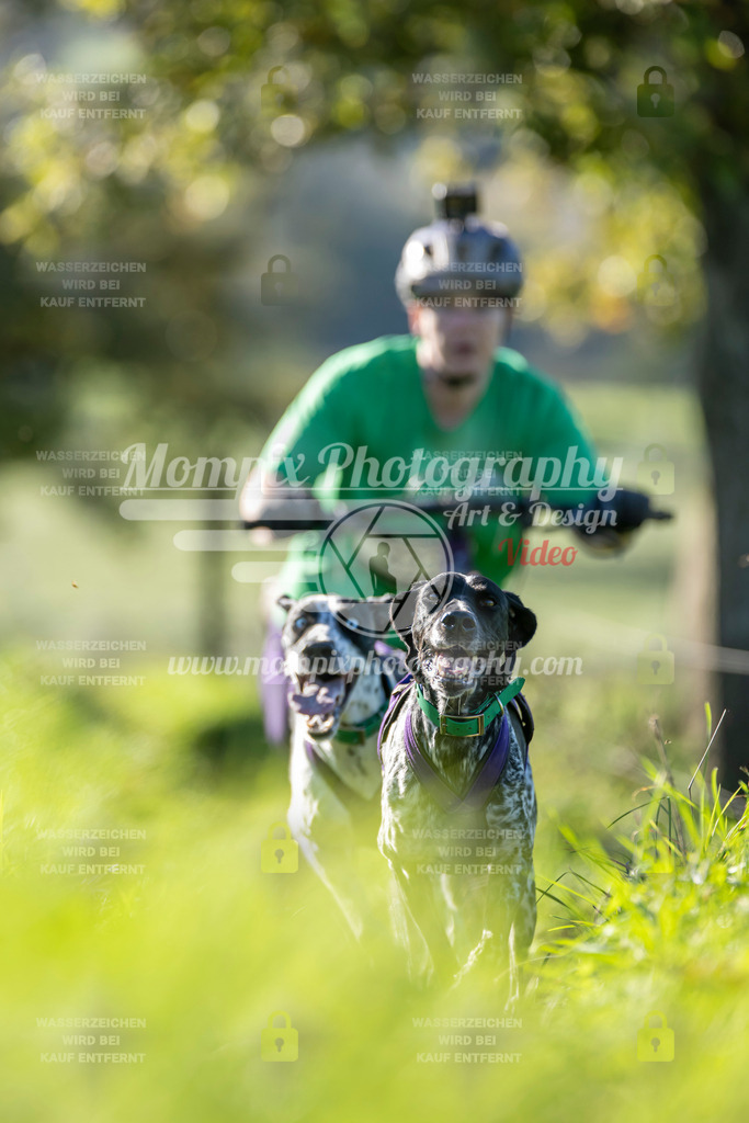 MompixPhotography_20TSB_E3_DS2-16 | PayLife