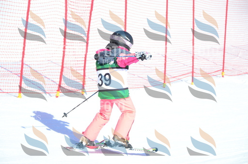 C5036 | holidayphoto