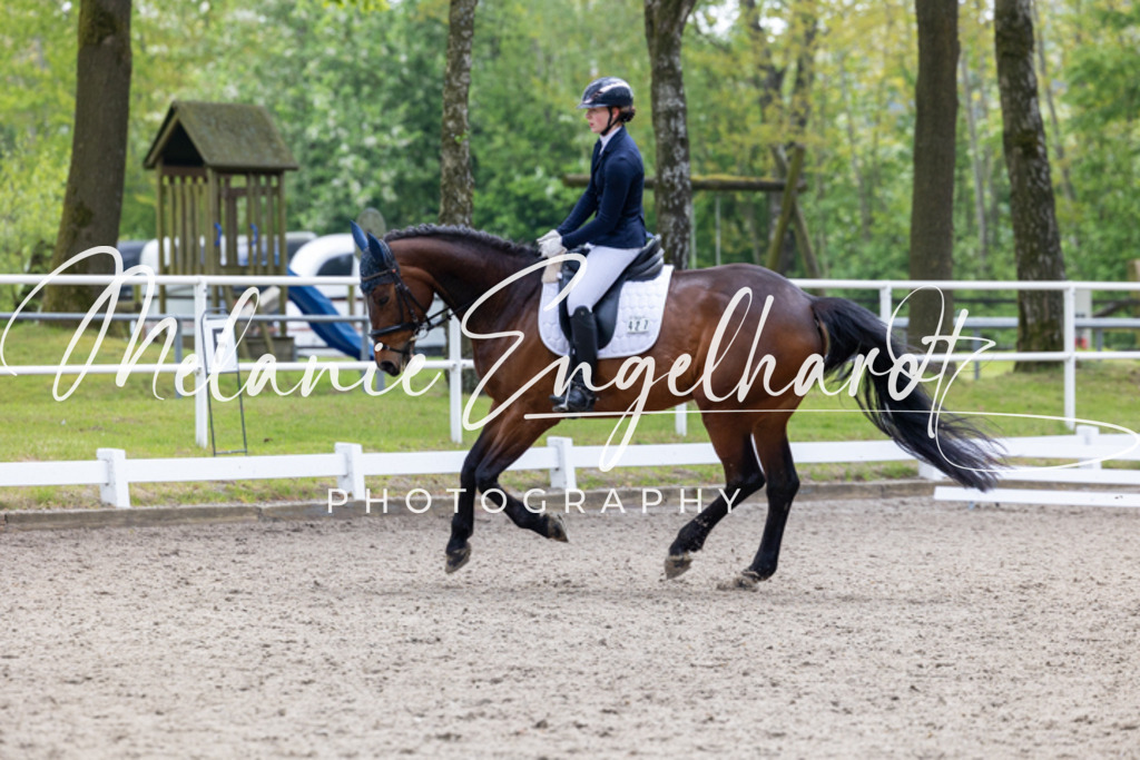 7I8A9931 | melanie-engelhardt-photography - Realisiert mit Pictrs.com