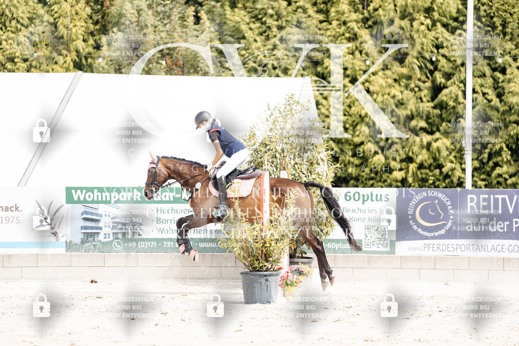 CK906698 | Turnierfotografie Pferdefotografie Trier Rheinland-Pfalz Pferdesport Reitsport Tierfotografie Sportfotografie Pferdevideo Pferdevideografie Equestrianvideography equestrianphotography  - Realisiert mit Pictrs.com