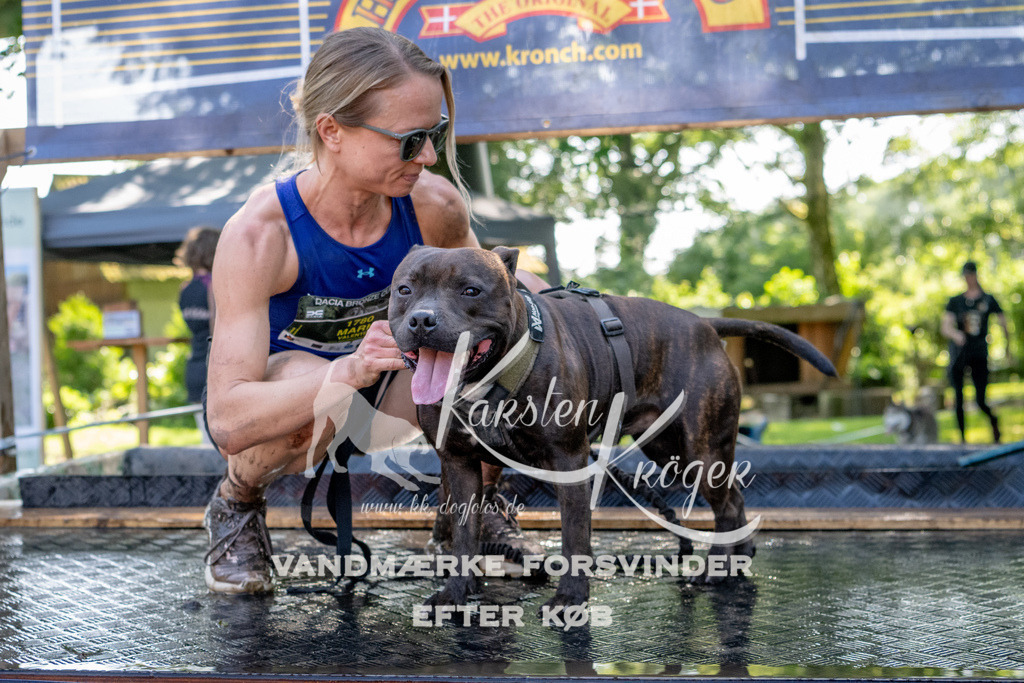 1536_ZZ91894 | kk-dogfotos