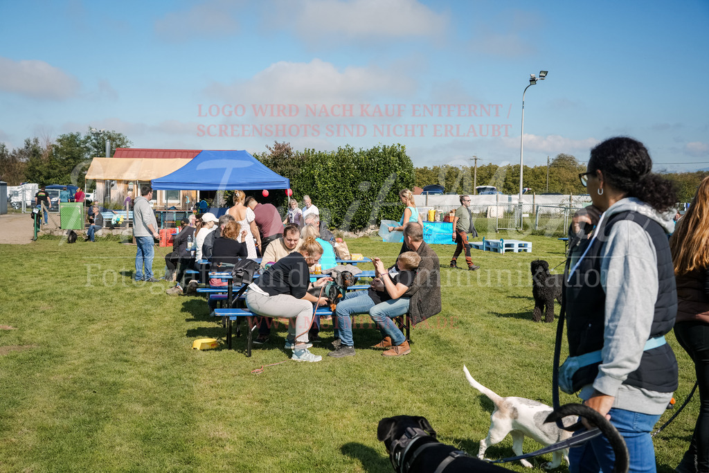 20250928_Hunderennen-727 | MuT (Mensch und Tier) mit Mona - Fotografie und Tierkommunikation - Realisiert mit Pictrs.com
