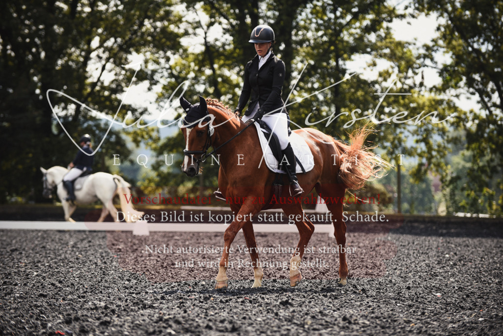 DSC_3891 | Pferde- und Turnierfotografie in Westsachsen. Pferdeportraits, Auftragszeichnungen und intuitive Kunst.