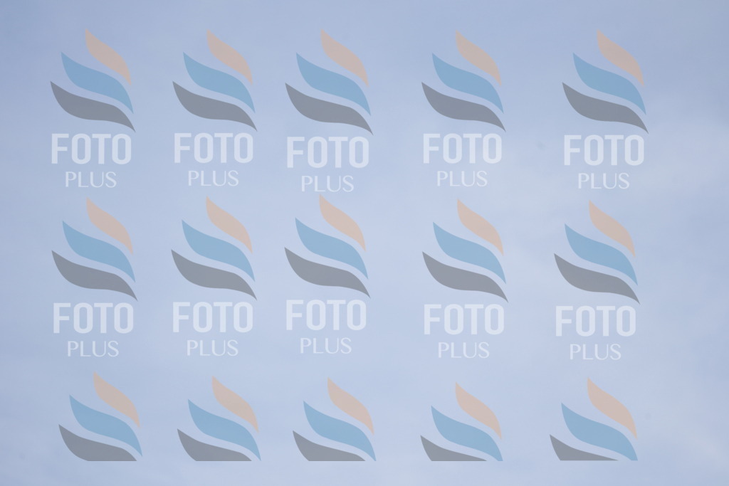 _U3G2974 | holidayphoto