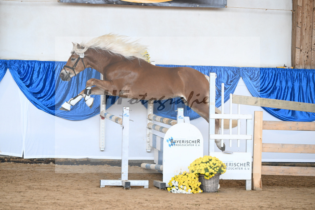 Kat-Nr. 11 nn v. Nordkerl_Nonn_48250243 | hf-fotografie - Realisiert mit Pictrs.com