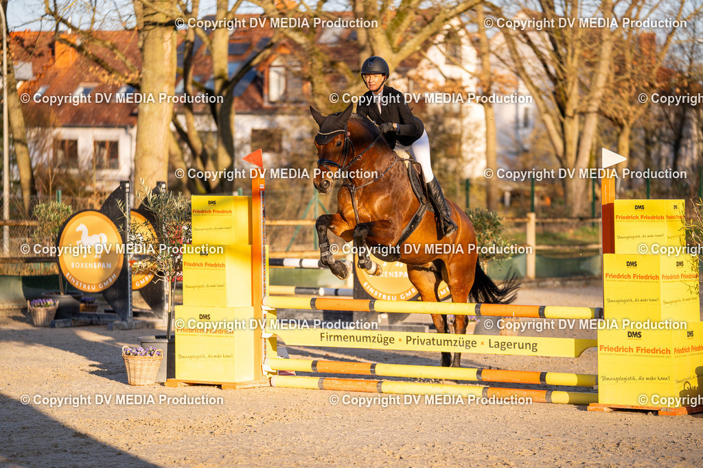 DSC-228 | dv-media-shop - Realisiert mit Pictrs.com