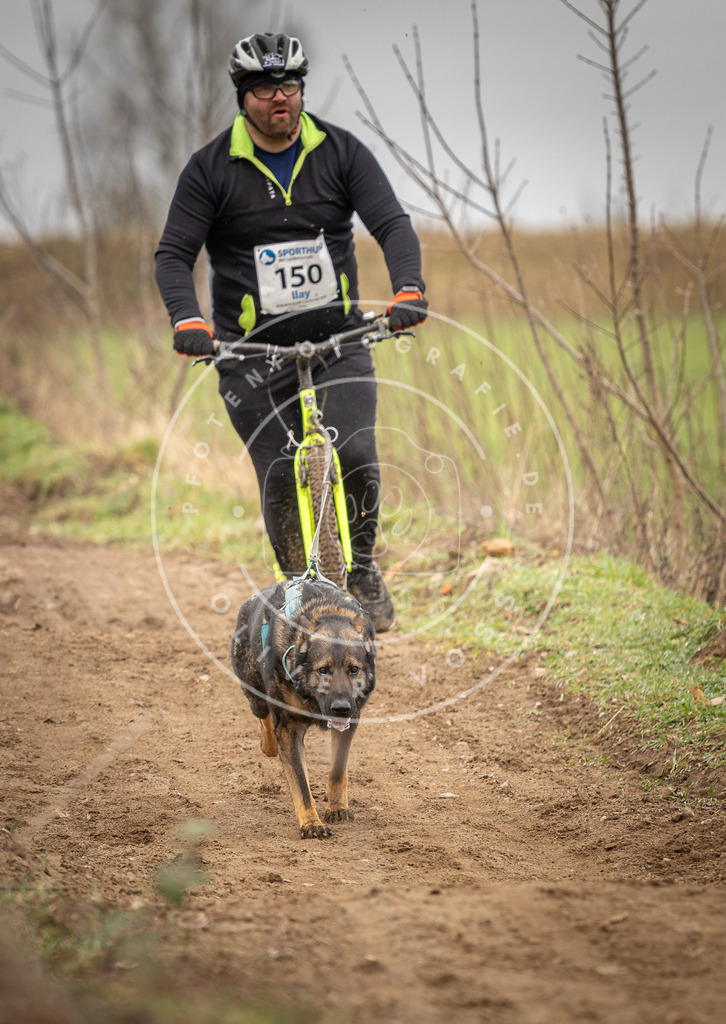 DV3A1518 | Hundefotografie, Tierfotograf, Pfotenfotografie, Fotoshooting Hund, Hunde Portrait, Hundesport, Hundeportraits, Heideshooting, Hunde, Sportfotograf, Hundefotograf, Turnierhundsport, THS,  - Realisiert mit Pictrs.com