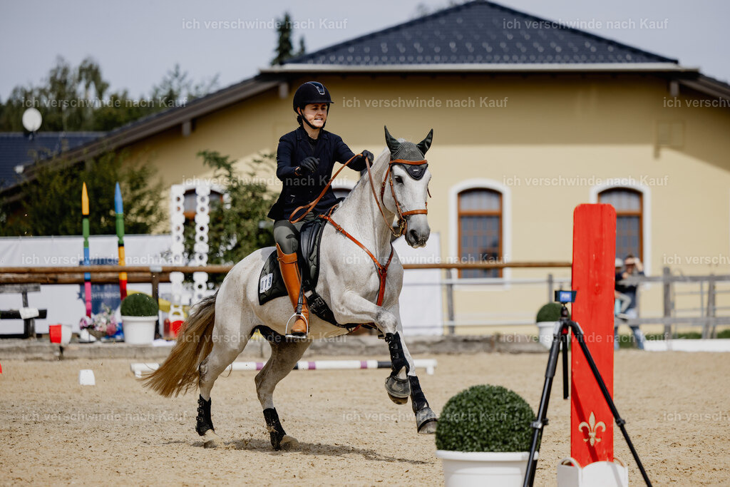 Svea13FHC2025-20499 | working equitationturnier fotograf videograf stoibphotography marixx film working equitation deutschland reitsport turnierfotografie eventfotografie equestrian events