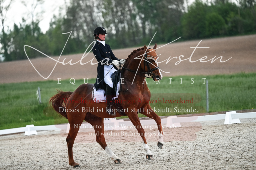 20230514_JK-Röhrsdorf-21-617 | Pferde- und Turnierfotografie in Westsachsen. Pferdeportraits, Auftragszeichnungen und intuitive Kunst.